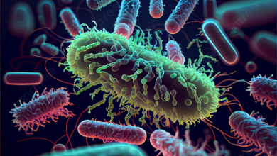 صورة صراصير وانتهاكات في مطبخها: أباء أطفال E-coli يقاضون “Fueling Brains”  في كالغري