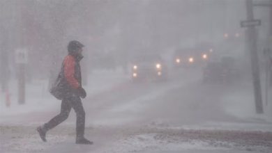 صورة ربيع كندا : عواصف ثلجية في أونتاريو وأمطار غزيرة في نوفا سكوتشيا