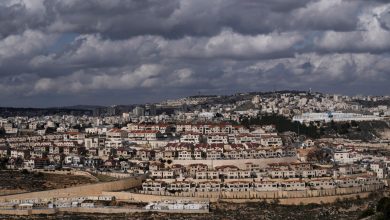 صورة “فلسطين ليست للبيع”.. كندية ترفض الصمت أمام التسويق للأراضي الفلسطينية