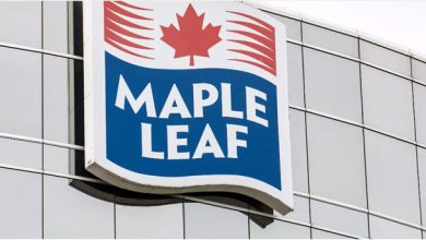 صورة شركة Maple Leaf تخطط لإغلاق معمل دجاج تاريخي