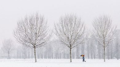 صورة الحرارة -2 درجة مئوية في جنوب أنتاريو
