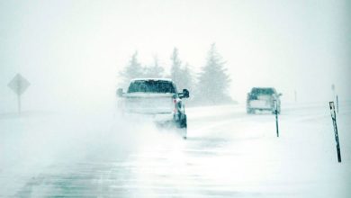 صورة عاصفة ثلجية كثيفة تجتاح جنوب أونتاريو
