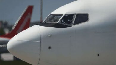 صورة نقابة طياري WestJet تطالب بإلغاء تصاريح الطيارين الأجانب
