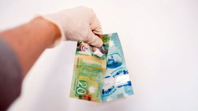 صورة برامبتون تطلق موقعًا لدعم المنتجات الكندية في مواجهة رسوم ترامب
