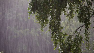 صورة أمطار وعواصف رعدية جنوب غرب أونتاريو